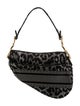 Christian Dior Canvas Saddle
