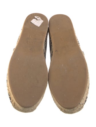 Christian Dior Canvas Printed Espadrilles