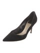 Christian Dior Suede Pumps