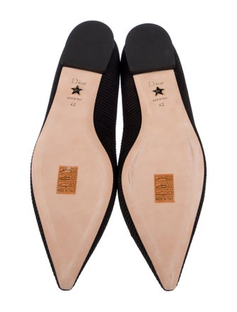 Christian Dior Printed Embroidered Accent Flats