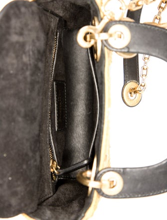 Christian Dior Bee Lady Dior Mini