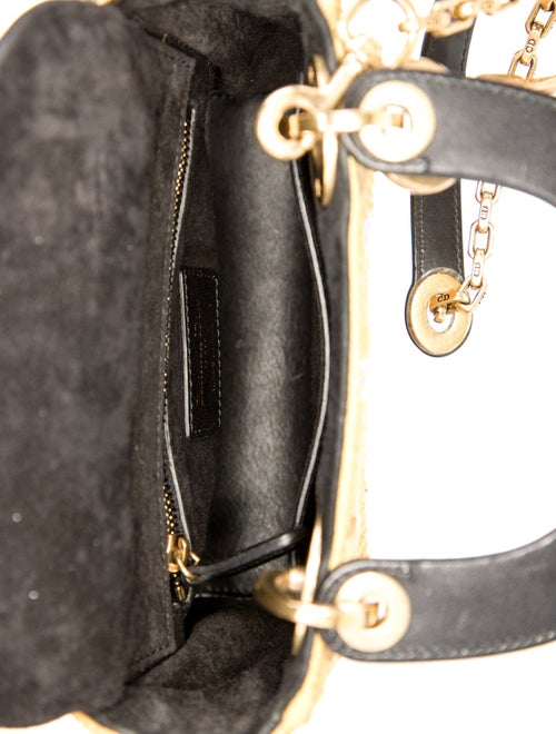 Christian Dior Bee Lady Dior Mini