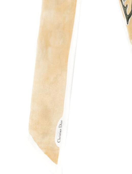 Christian Dior Silk Printed Scarf