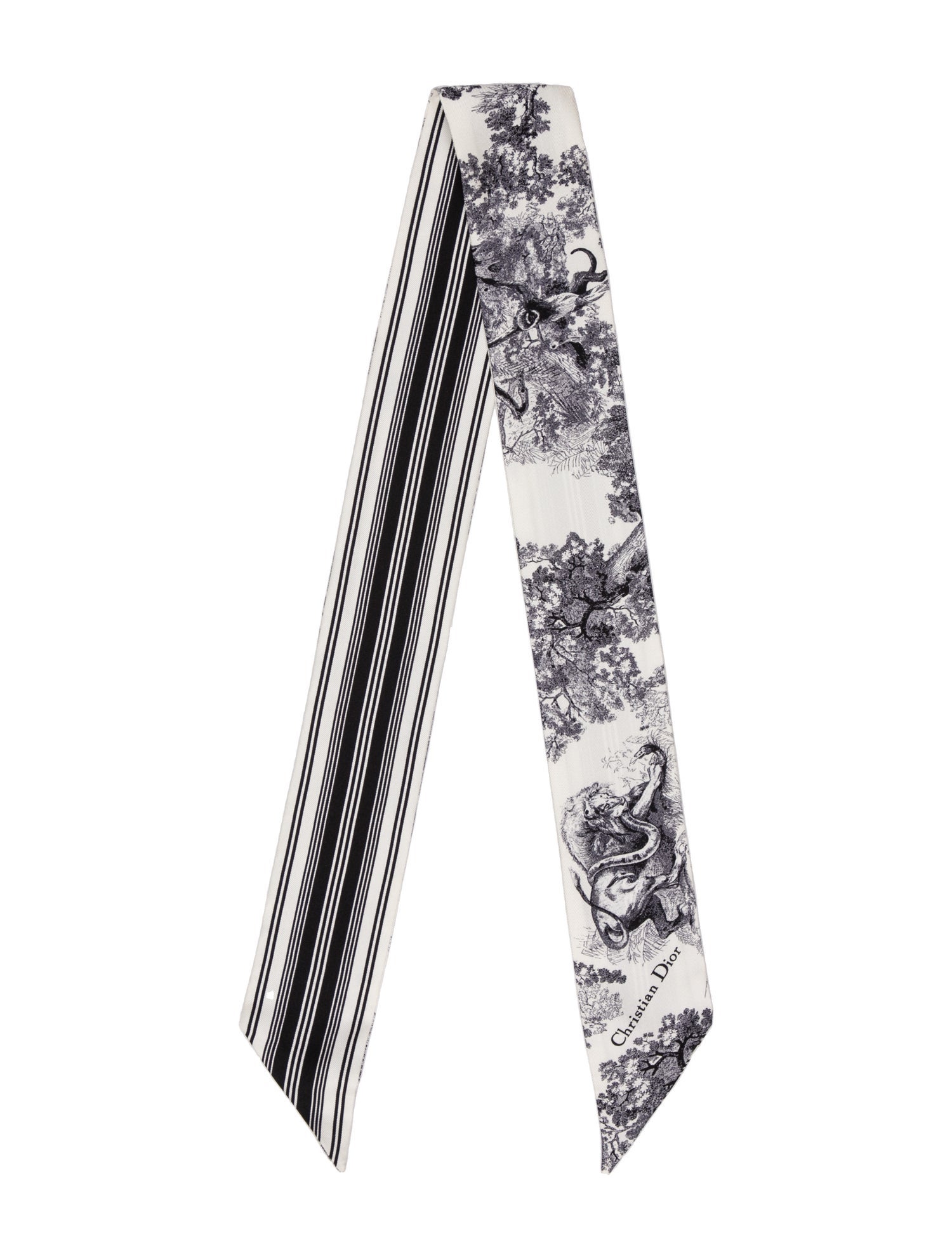 Christian Dior Silk Printed Scarf