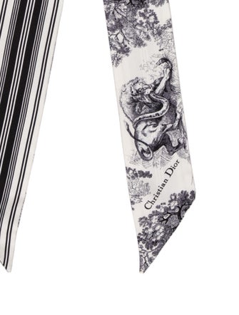 Christian Dior Silk Printed Scarf