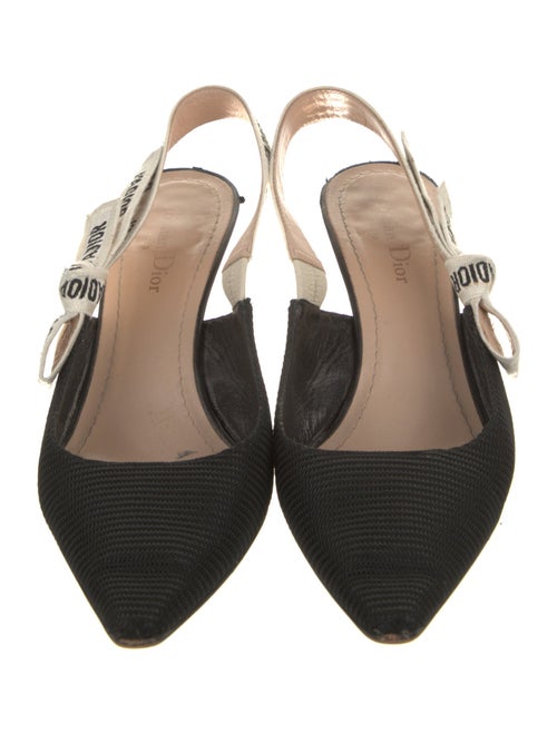 Christian Dior Mesh Graphic Print Slingback Pumps