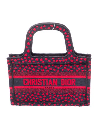 Christian Dior Book Mini