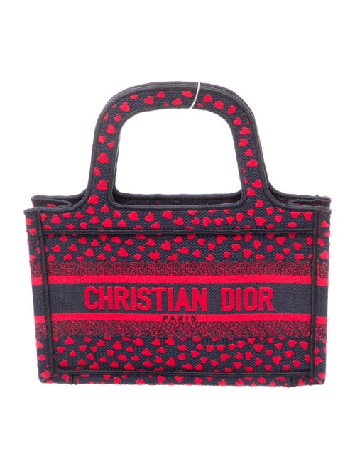 Christian Dior Book Mini