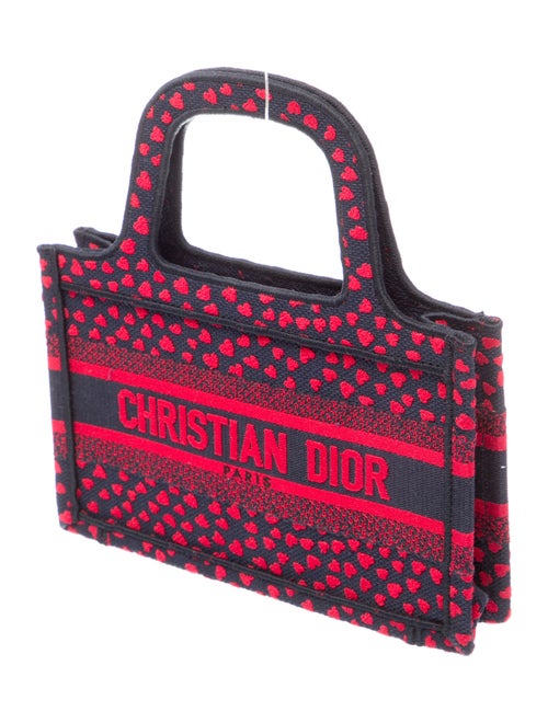 Christian Dior Book Mini