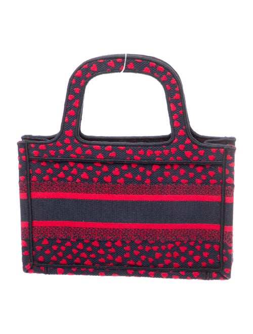 Christian Dior Book Mini