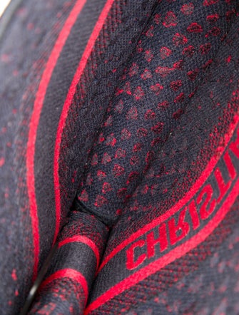 Christian Dior Book Mini