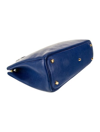 Christian Dior Leather Diorissimo Large