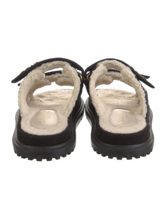 Christian Dior Suede Mules