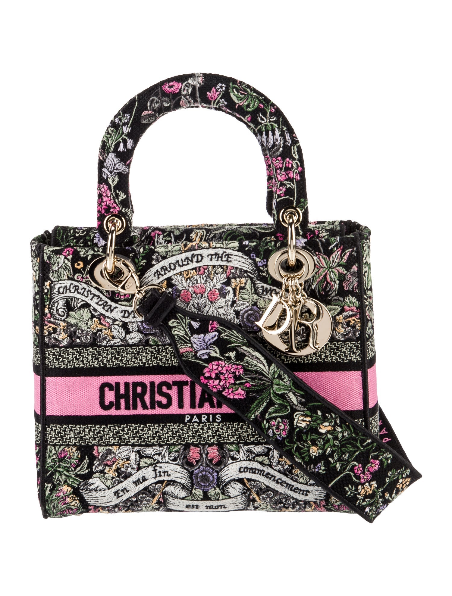 Christian Dior Canvas D-Lite Medium 2024