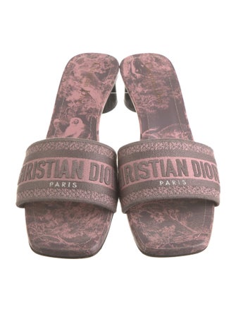 Christian Dior Printed Slides