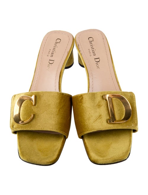 Christian Dior Velvet Slides