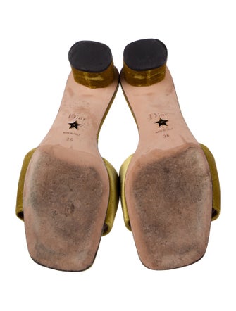 Christian Dior Velvet Slides