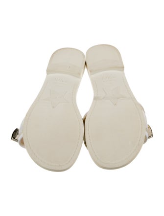 Christian Dior Slides