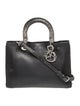 Christian Dior Leather Diorissimo