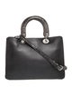 Christian Dior Leather Diorissimo