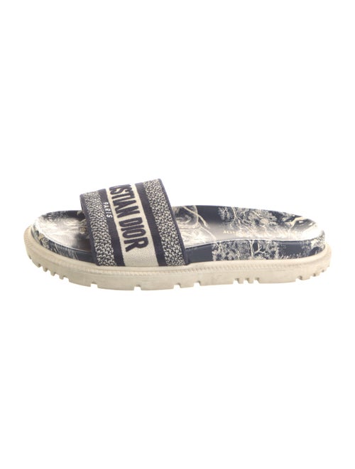 Christian Dior Canvas Printed Espadrilles
