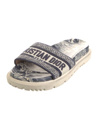 Christian Dior Canvas Printed Espadrilles
