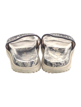 Christian Dior Canvas Printed Espadrilles