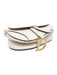 Christian Dior Leather Saddle Mini 2023