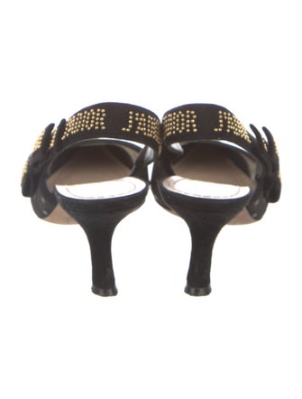 Christian Dior Mesh Bow Accents Slingback Pumps