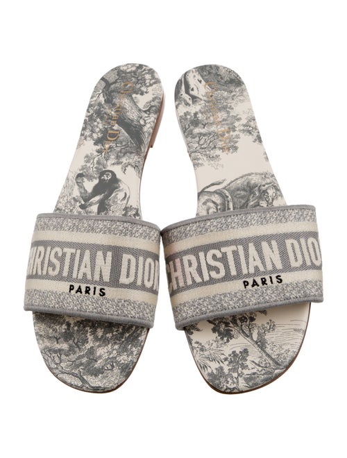 Christian Dior Printed Embroidered Accent Slides