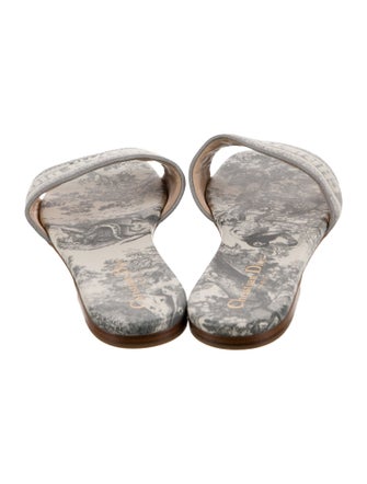 Christian Dior Printed Embroidered Accent Slides