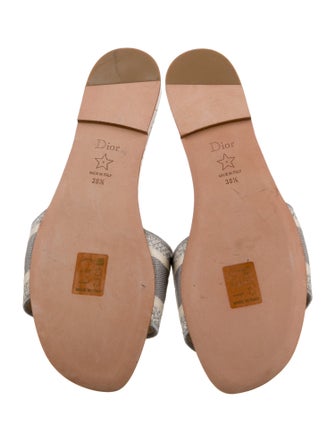 Christian Dior Printed Embroidered Accent Slides