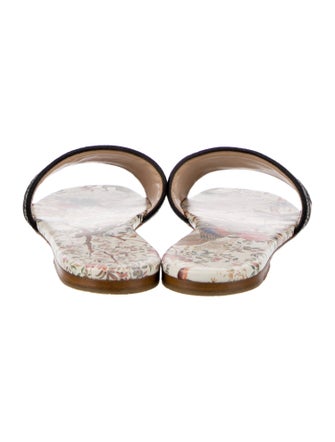 Christian Dior Printed Embroidered Accent Slides