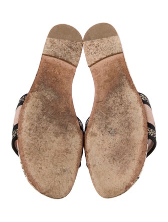 Christian Dior Printed Embroidered Accent Slides