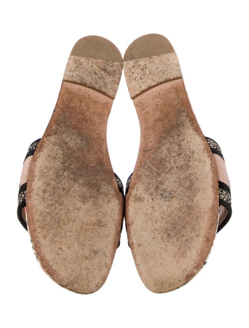 Christian Dior Printed Embroidered Accent Slides