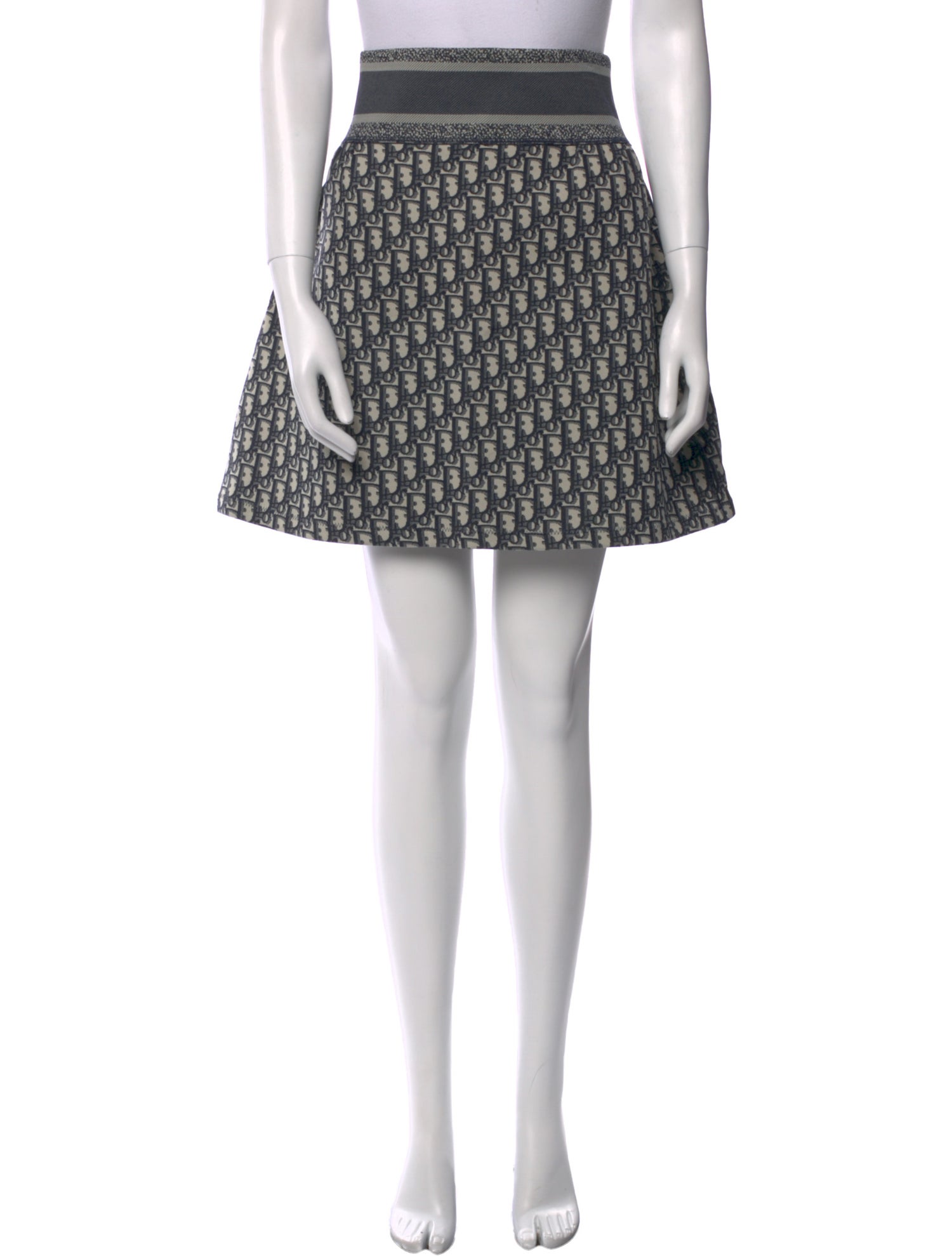 Christian Dior 2021 Mini Skirt