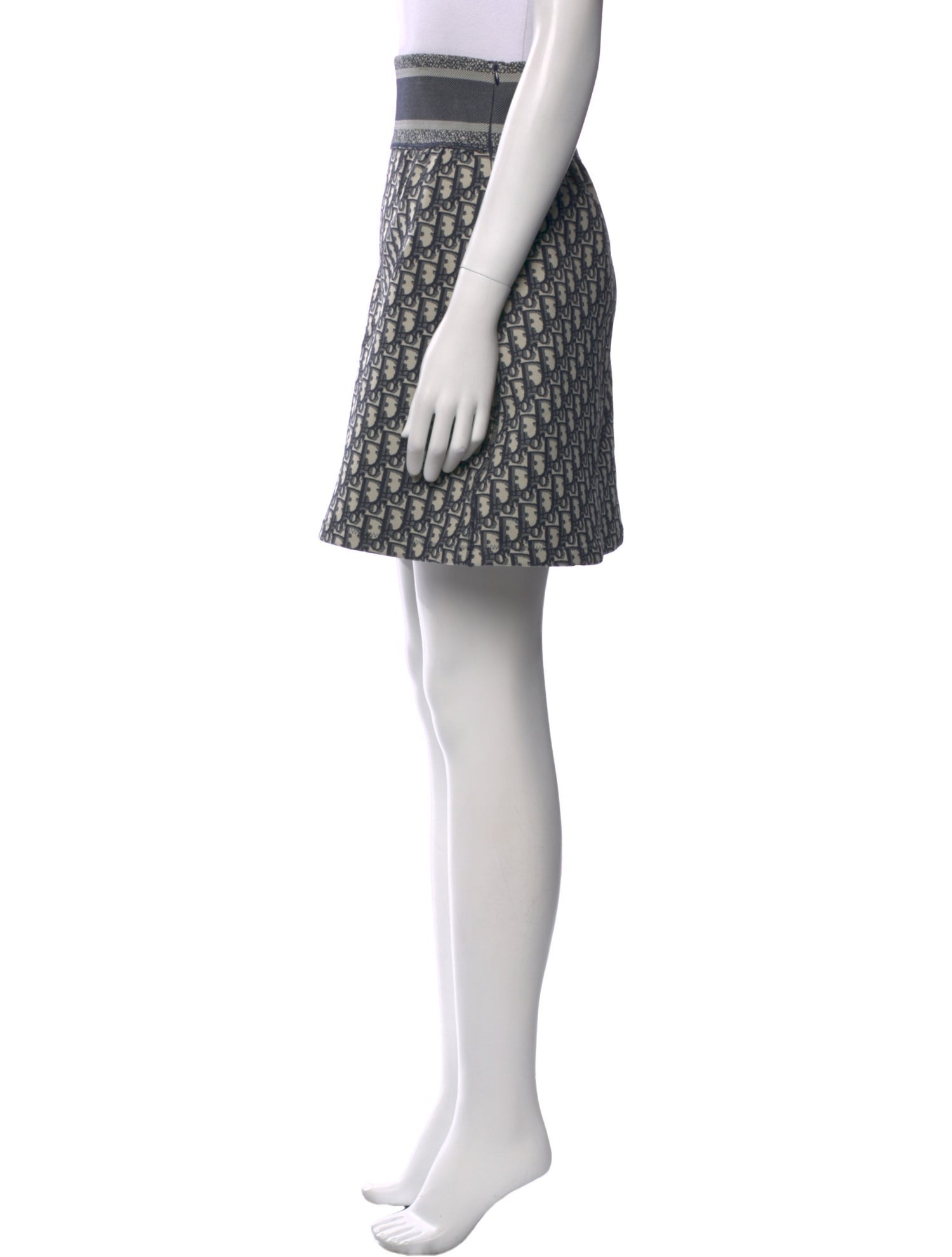 Christian Dior 2021 Mini Skirt