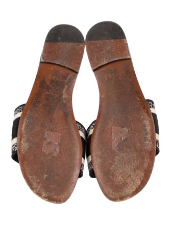 Christian Dior Canvas Printed Slides