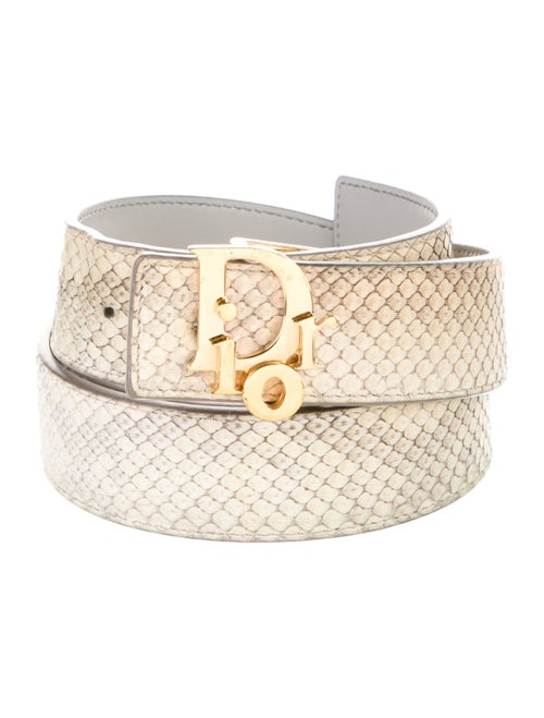 Christian Dior Snakeskin Belt