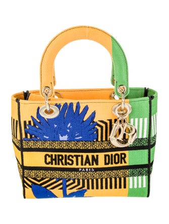 Christian Dior Canvas D-Lite Medium 2022
