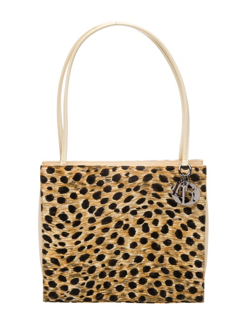 Christian Dior Shoulder Bag