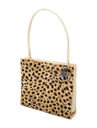 Christian Dior Shoulder Bag