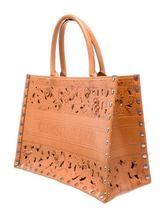 Christian Dior Leather Book Medium 2023