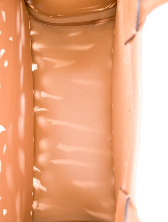 Christian Dior Leather Book Medium 2023