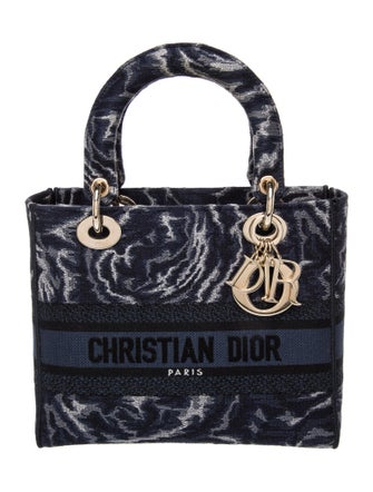 Christian Dior Canvas D-Lite Medium