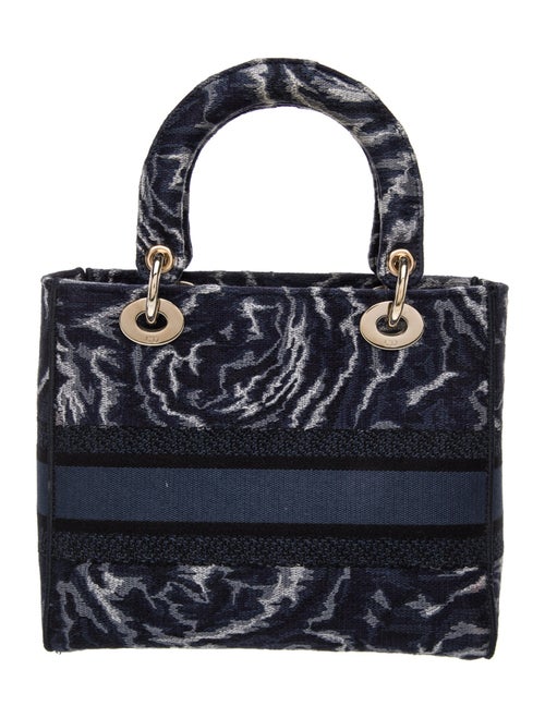 Christian Dior Canvas D-Lite Medium