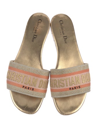 Christian Dior Printed Embroidered Accent Slides