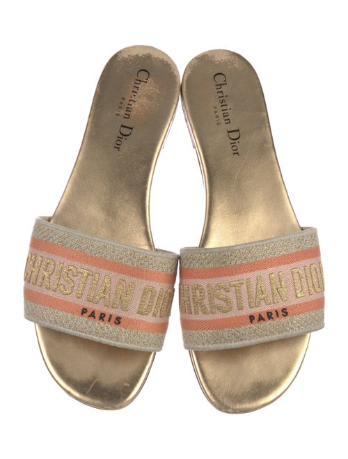 Christian Dior Printed Embroidered Accent Slides
