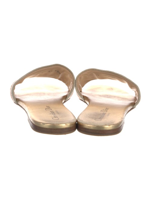 Christian Dior Printed Embroidered Accent Slides