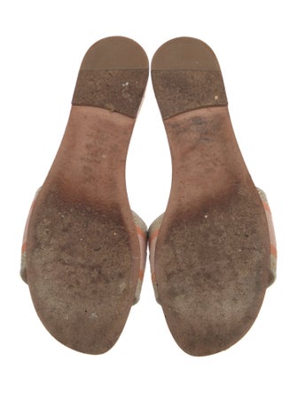 Christian Dior Printed Embroidered Accent Slides